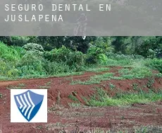 Seguro dental en  Juslapeña