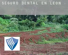 Seguro dental en  León