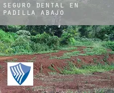 Seguro dental en  Padilla de Abajo