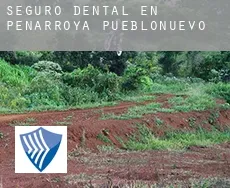 Seguro dental en  Peñarroya-Pueblonuevo