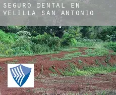 Seguro dental en  Velilla de San Antonio