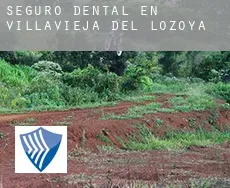 Seguro dental en  Villavieja del Lozoya