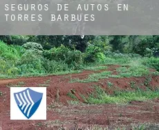 Seguros de autos en  Torres de Barbués