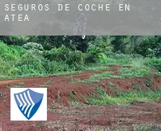 Seguros de coche en  Atea