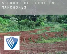 Seguros de coche en  Manchones