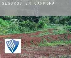 Seguros en  Carmona