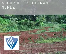 Seguros en  Fernán-Núñez