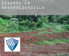 Seguros en  Navarredondilla