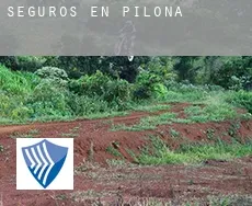 Seguros en  Piloña