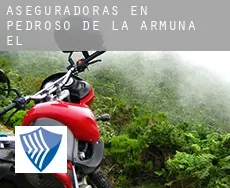Aseguradoras en  Pedroso de la Armuña (El)