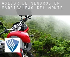 Asesor de seguros en  Madrigalejo del Monte