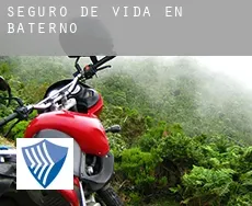 Seguro de vida en  Baterno