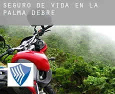 Seguro de vida en  la Palma d'Ebre