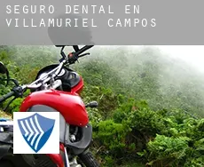 Seguro dental en  Villamuriel de Campos