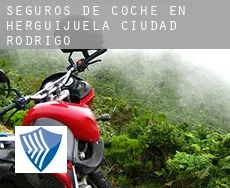 Seguros de coche en  Herguijuela de Ciudad Rodrigo
