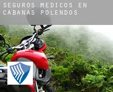 Seguros medicos en Cabañas de Polendos
