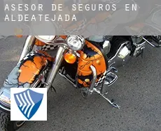 Asesor de seguros en  Aldeatejada