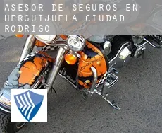 Asesor de seguros en  Herguijuela de Ciudad Rodrigo