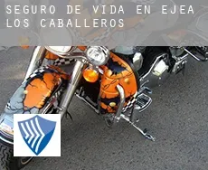 Seguro de vida en  Ejea de los Caballeros