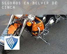 Seguros en  Belver de Cinca