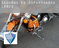 Seguros en  Esparragosa de Lares