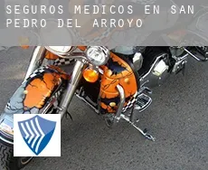 Seguros medicos en San Pedro del Arroyo