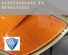 Aseguradoras en  Berastegi