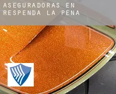 Aseguradoras en  Respenda de la Peña