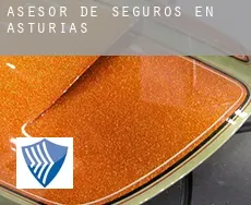 Asesor de seguros en  Asturias
