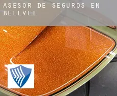 Asesor de seguros en  Bellvei
