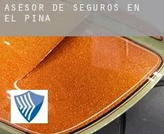 Asesor de seguros en  El Pina