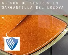 Asesor de seguros en  Gargantilla del Lozoya y Pinilla de Buitrago
