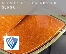 Asesor de seguros en  Gorga