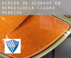 Asesor de seguros en  Herguijuela de Ciudad Rodrigo