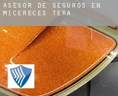 Asesor de seguros en  Micereces de Tera