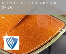 Asesor de seguros en  Oria