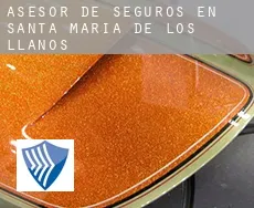 Asesor de seguros en  Santa María de los Llanos