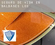 Seguro de vida en  Balbases (Los)