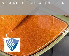 Seguro de vida en  León