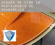 Seguro de vida en  Portalrubio de Guadamejud