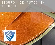 Seguros de autos en  Tuineje