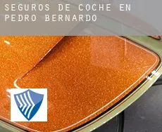 Seguros de coche en  Pedro Bernardo