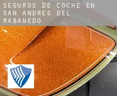 Seguros de coche en San Andrés del Rabanedo