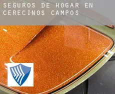 Seguros de hogar en  Cerecinos de Campos