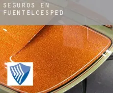 Seguros en  Fuentelcésped