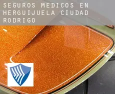Seguros medicos en  Herguijuela de Ciudad Rodrigo