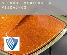 Seguros medicos en  Vizcaínos