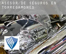 Asesor de seguros en  Torregamones
