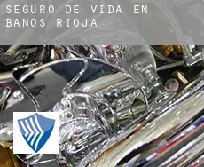 Seguro de vida en  Baños de Rioja