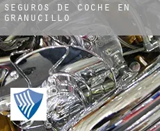 Seguros de coche en  Granucillo
